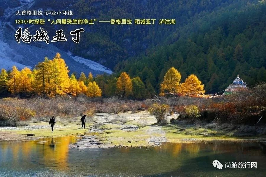 师柳mmexport1539148595702.jpg