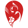 shangyou9 100.png
